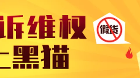 体育巨头战队集结，新赛季备战激战正酣